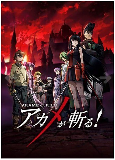 Akame Ga Kill C24